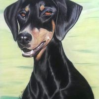 Art Course Oct 2021 - Drawing 1.0