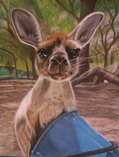 Cindy The Hungry KI Kangaroo