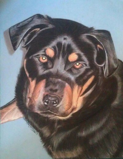 Personal Pet Portrait (Realistic)
