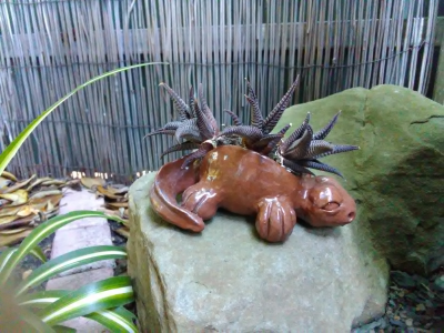 Pet Pots Dec 2021 - Image 2