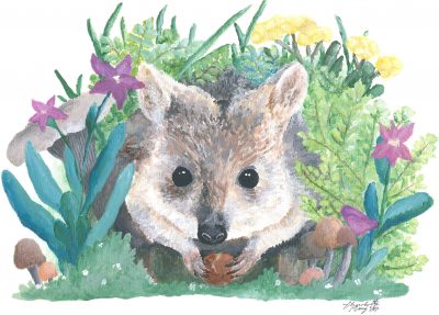 Bettong Forager