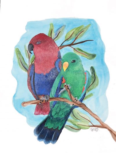 Eclectus Parrots