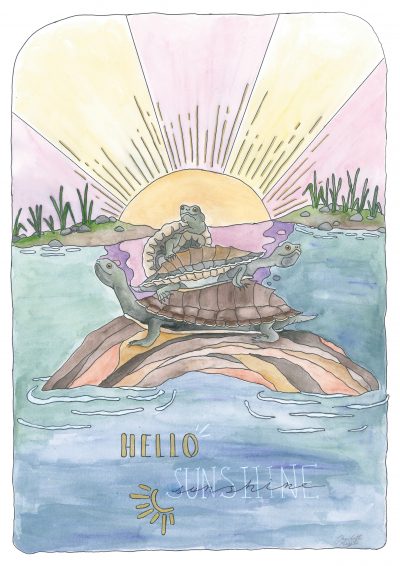 Hello Sunshine