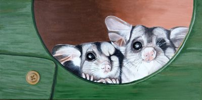Honey? Your whisker is in my eye!