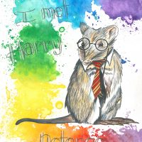 I Met Harry Potoroo