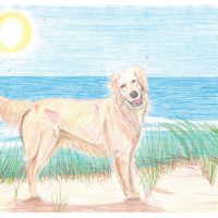 Art Course Feb 2022- Drawing 2.0