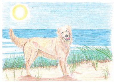 Art Course Feb 2022- Drawing 2.0