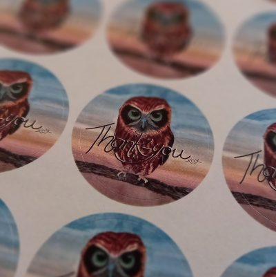 Widget the Owl Thank You Stickers