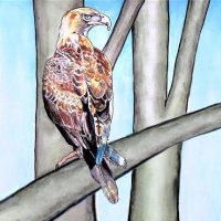 Australian Animals Art