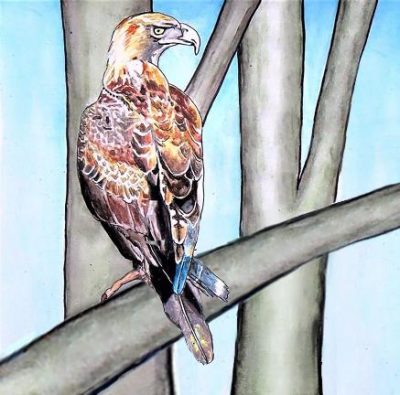 Australian Animals Art