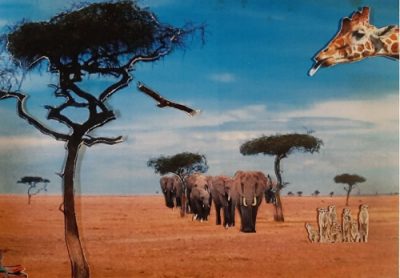 Art Class Course - Flora and Fauna - Image 6