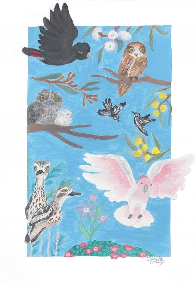 Birds@Warrawong