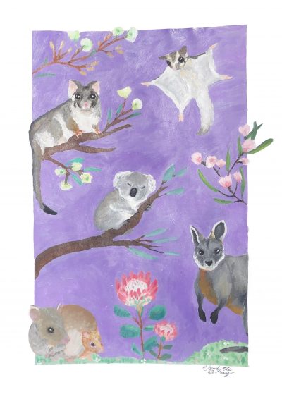 Marsupials at Warrawong