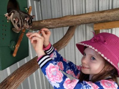 Fur, Feather, Scales and Craft - Image 2
